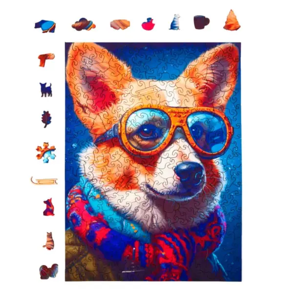 Colin, a corgi fa puzzle
